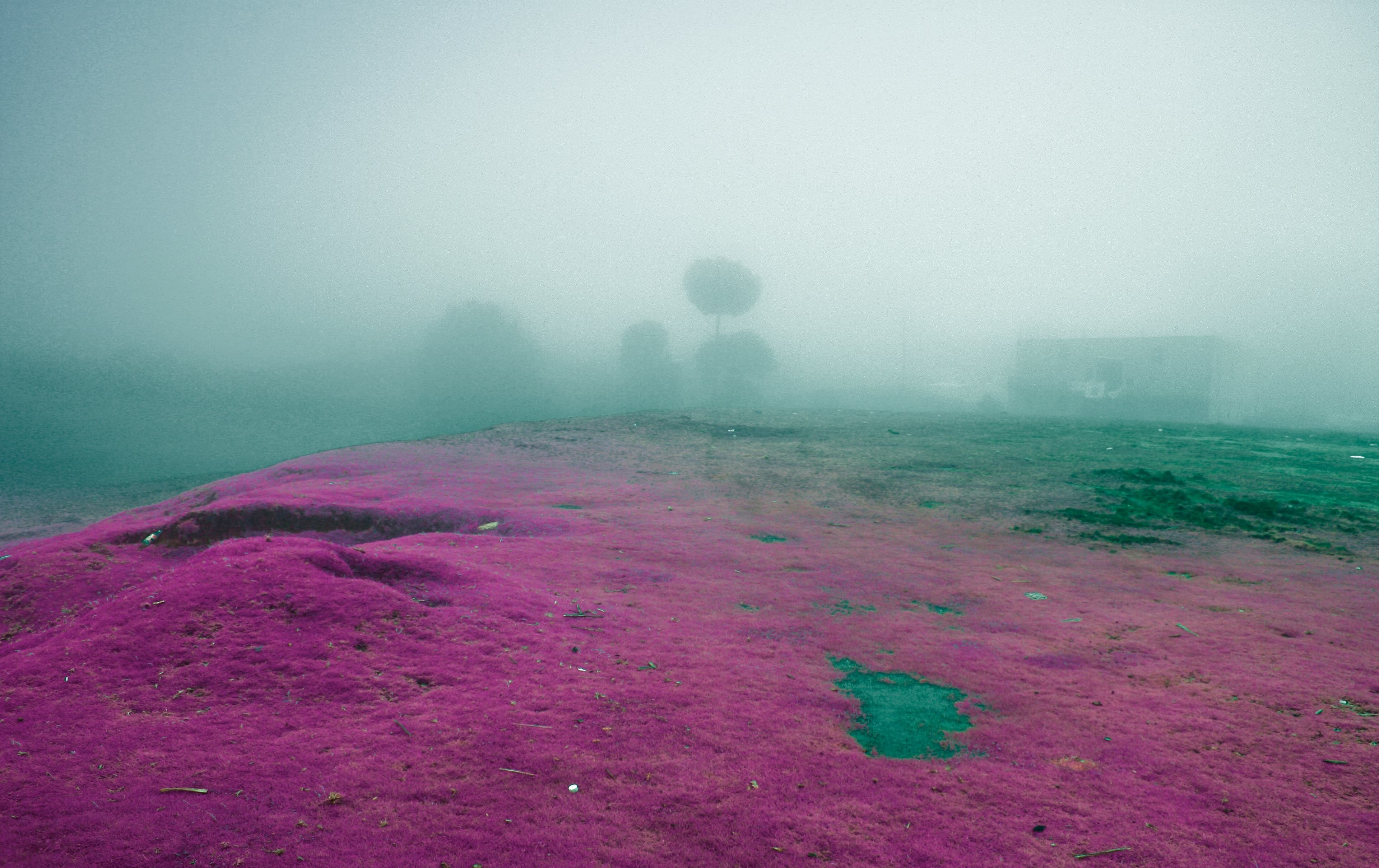 Troisième Chemin — regard sans haine
